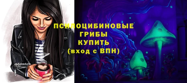 индика Тихорецк
