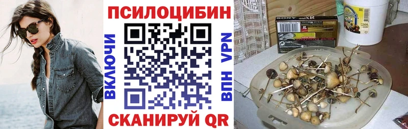 кракен онион  Новосибирск  Галлюциногенные грибы GOLDEN TEACHER  цены наркотик 